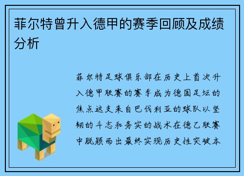 菲尔特曾升入德甲的赛季回顾及成绩分析